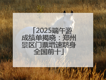 2025端午游成绩单揭晓：郑州景区门票增速跻身全国前十