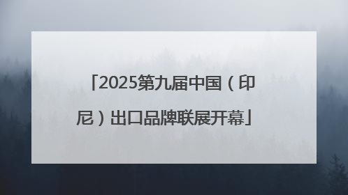 2025第九届中国（印尼）出口品牌联展开幕