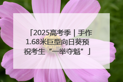 2025高考季｜手作1.68米巨型向日葵预祝考生“一举夺魁”