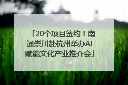20个项目签约！南通崇川赴杭州举办AI赋能文化产业推介会