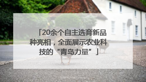 20余个自主选育新品种亮相，全面展示农业科技的“青岛力量”
