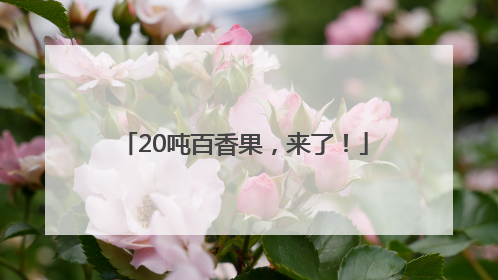 20吨百香果，来了！