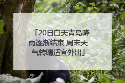 20日白天青岛降雨逐渐结束 周末天气转晴适宜外出