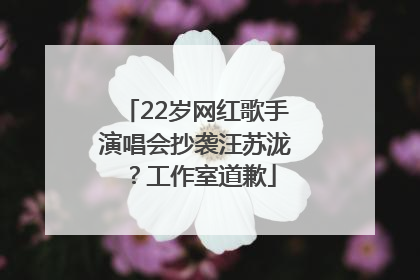 22岁网红歌手演唱会抄袭汪苏泷？工作室道歉