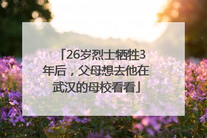 26岁烈士牺牲3年后，父母想去他在武汉的母校看看