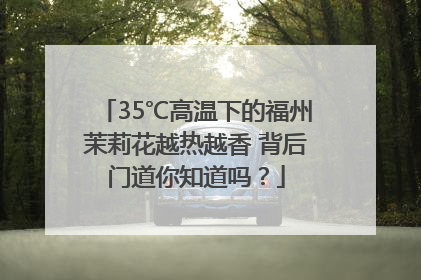 35℃高温下的福州茉莉花越热越香 背后门道你知道吗？