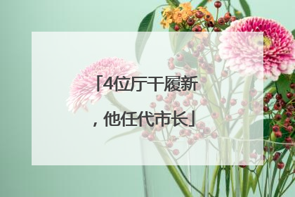4位厅干履新，他任代市长