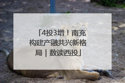 4投3增！南充构建产融共兴新格局｜数读西投