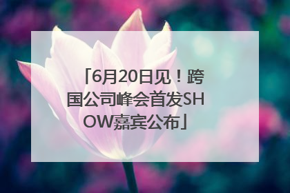 6月20日见！跨国公司峰会首发SHOW嘉宾公布
