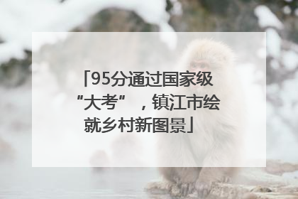 95分通过国家级“大考”，镇江市绘就乡村新图景