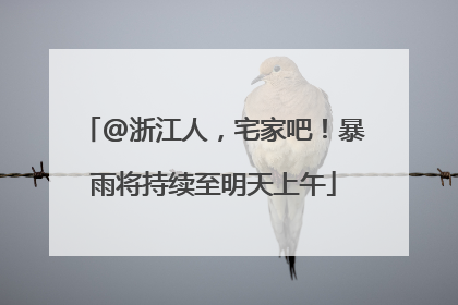 @浙江人，宅家吧！暴雨将持续至明天上午