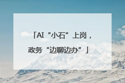 AI“小石”上岗，政务“边聊边办”