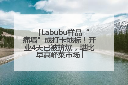 Labubu样品“痛墙”成打卡地标！开业4天已被挤爆，堪比早高峰菜市场