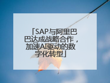 SAP与阿里巴巴达成战略合作，加速AI驱动的数字化转型